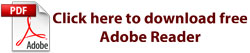 adobe reader security flaw_small.jpg